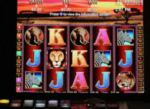 ayx官方app电脑免费版