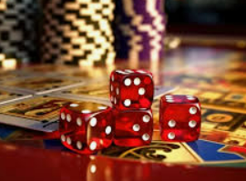 ayx官方app2024最新版